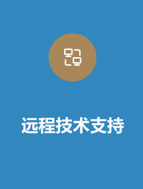 遠程技術支持